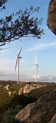 azienda