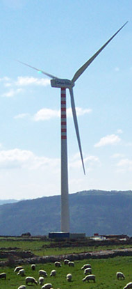 azienda